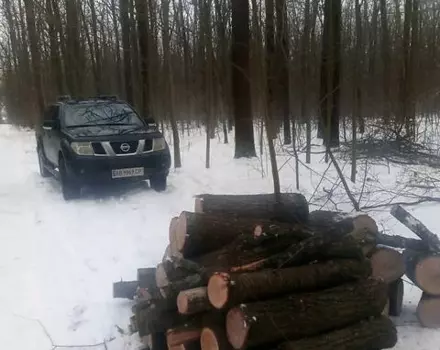 Nissan Navara, 2008 г.в.