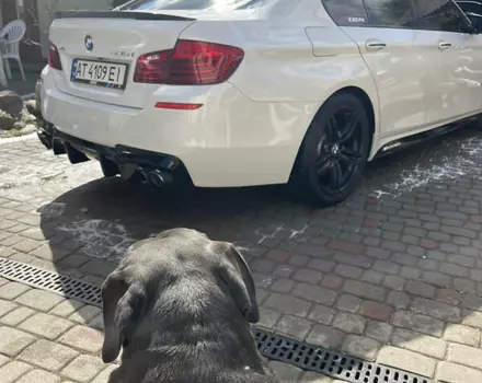 BMW 535, 2014 г.в.