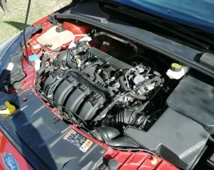 Ford Focus, 2018 г.в.