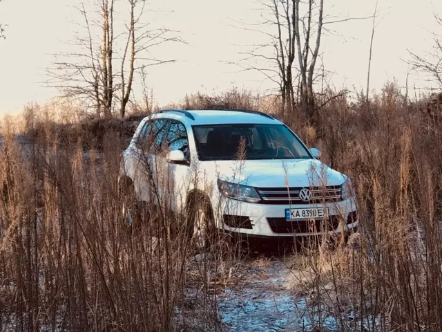 Volkswagen Tiguan, 2017 г.в.