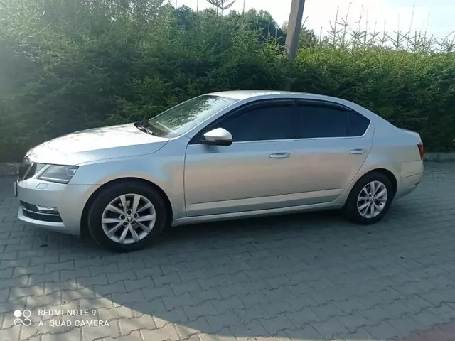 Skoda Octavia, 2017 г.в.