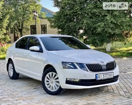 Skoda Octavia, 2019 г.в.