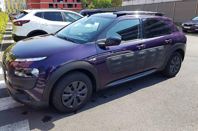 Citroen C4 Cactus Panorama 2015
