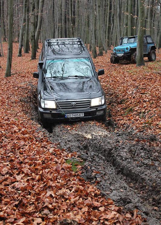 Toyota Land Cruiser 100 4.7 2004
