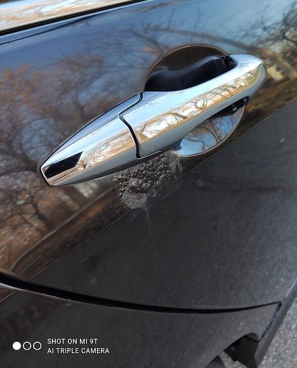 Honda Accord 2006