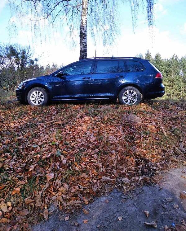 Volkswagen Golf VII 2016
