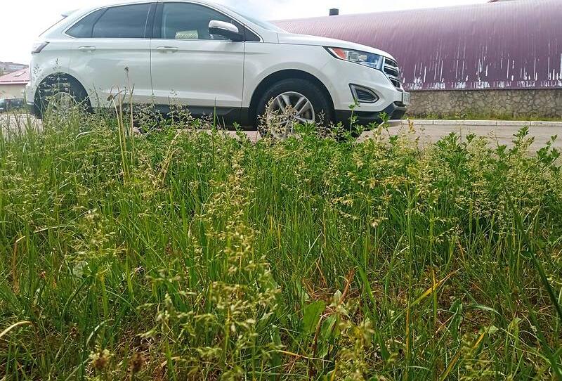 Ford Edge SEL 2018