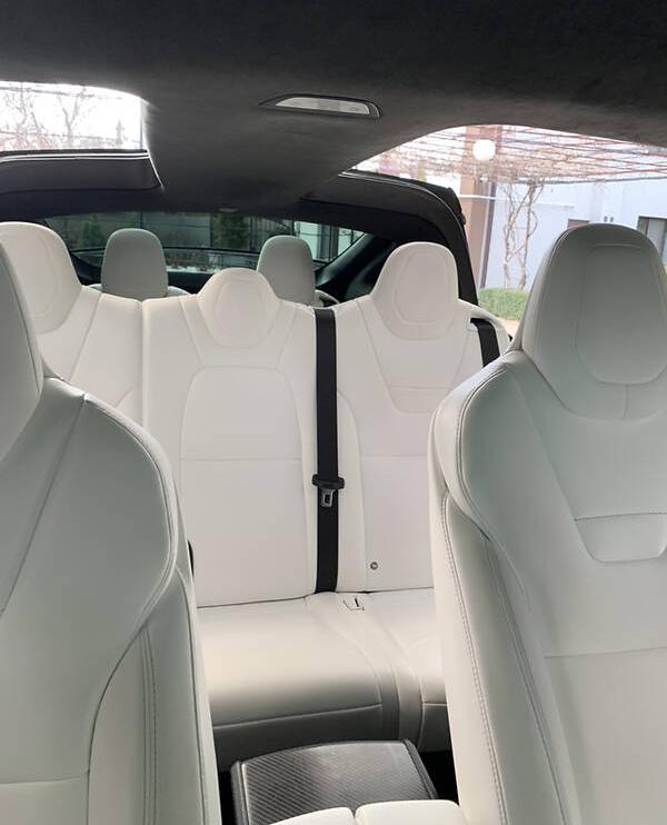 Tesla Model X 100D 2017