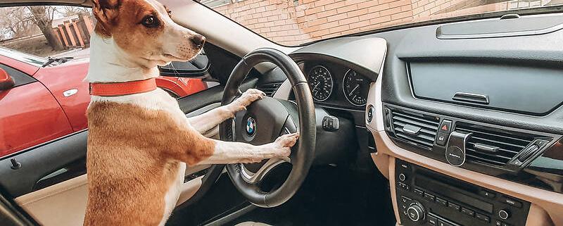 BMW X1 Sdrive 28i 2014