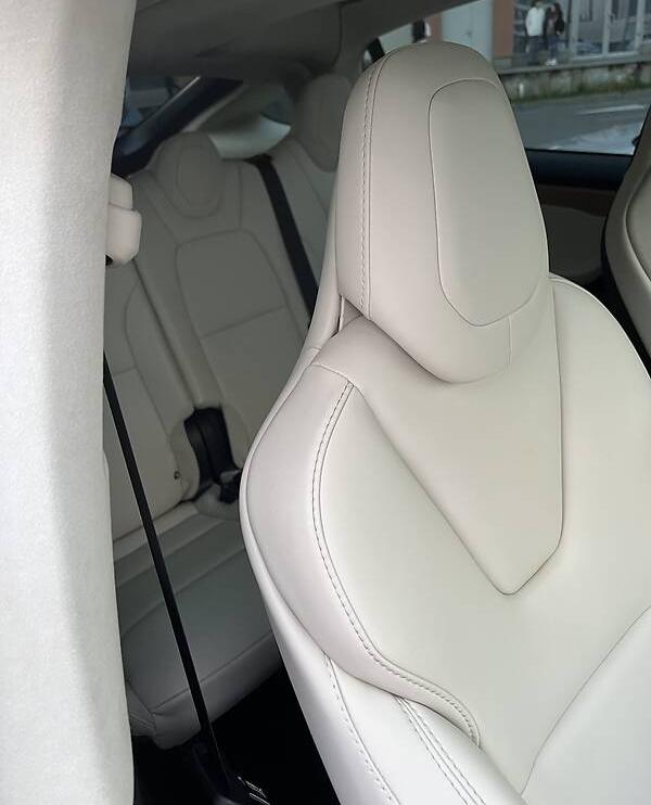 Tesla Model X 100D 2019
