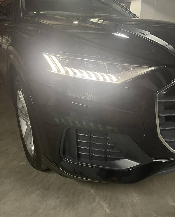 Audi Q8 2021